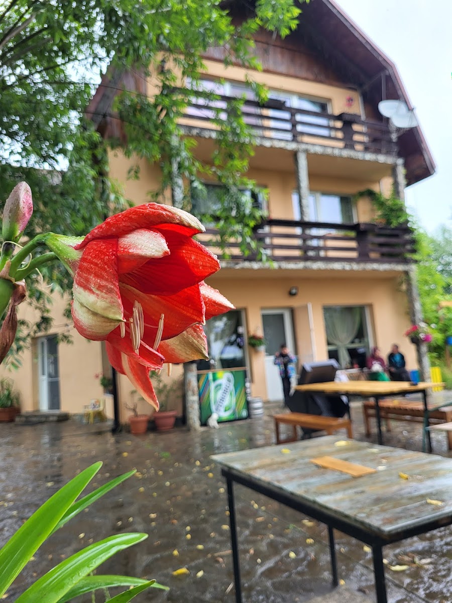 Gastro Local Valea Soarelui (Rezervare Cu 24 Ore Inainte)